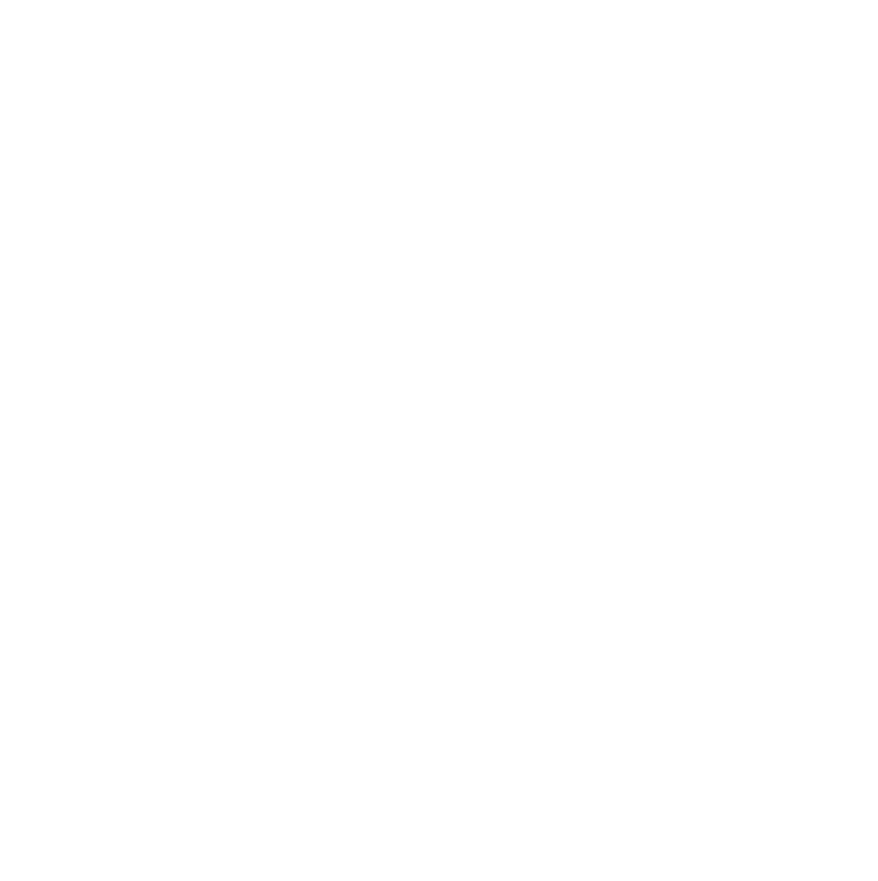 Lightronics-iconen-marketing-2021 wit__Energiezuinig